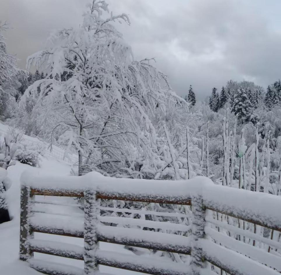 Gite La Bergerie Chalet Independant Kirchberg 外观 照片